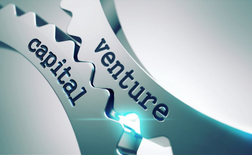 The Venture Capital Cycle – Main Points